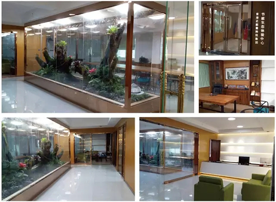 正能量生態體驗中心改造后環境 正能量生態體驗中心改造后環境