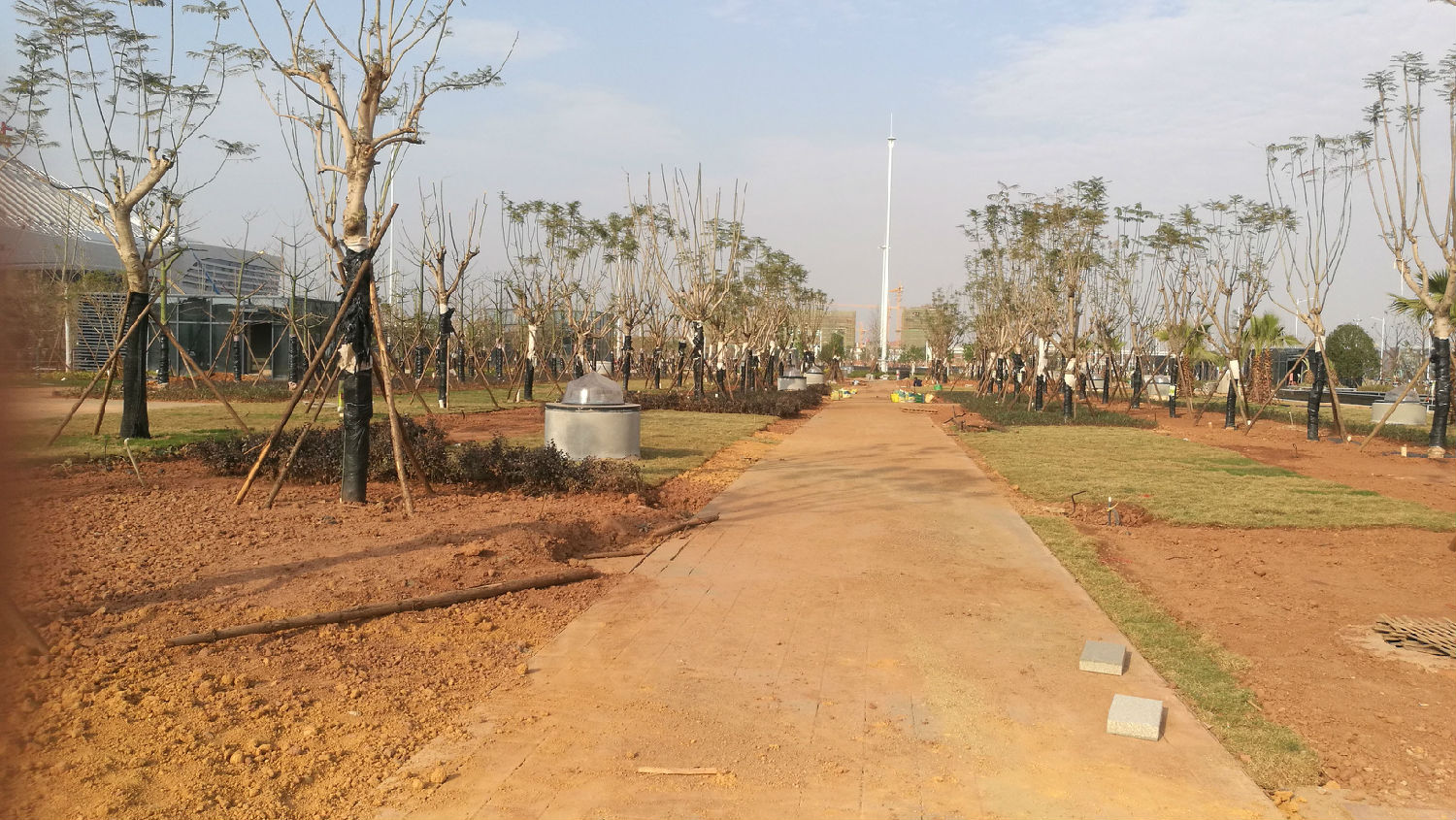 采光陽(yáng)光中